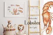 Watercolor Lobster Life Cycle, an Education Illustration by MayaNavits (Thumbnail 4 of 7)