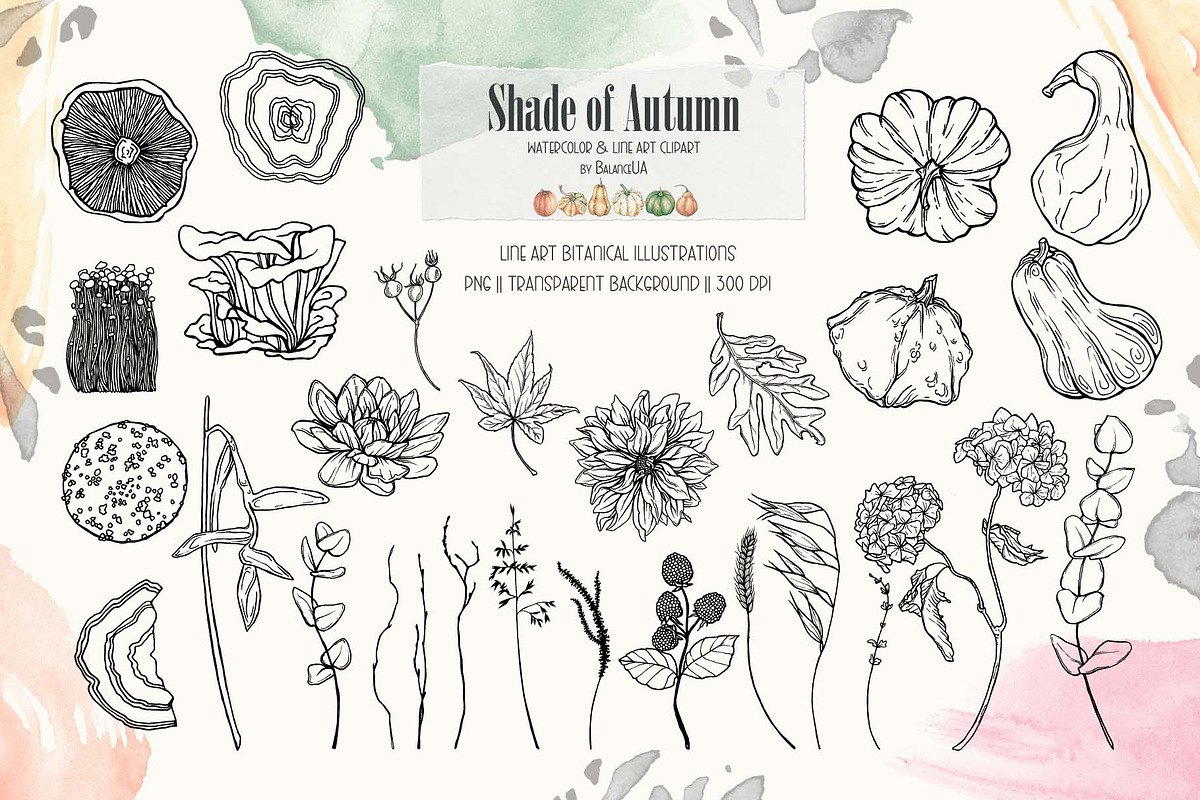 Shade of Autumn Watercolor Clipart, a Decorative Illustration by BalanceUA (Photo 13 of 18)
