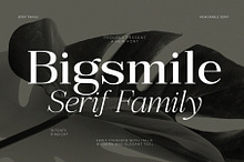 Bigsmile Serif Family