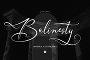 Balinesty | Modern Calligraphy, a Script Font by Denustudios (Thumbnail 1 of 12)