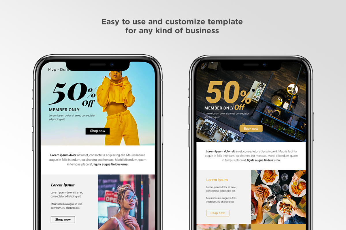 MVP-Newsletter/Dem, an Email Template by MVP Factory (Photo 4 of 5)