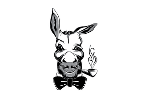 Funny Snobbish Donkey