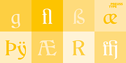 Daring, a Serif Font by preussTYPE (Thumbnail 8 of 8)