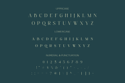 Brattons - Stylistic Ligature Serif, a Serif Font by LoneArmy (Thumbnail 9 of 10)