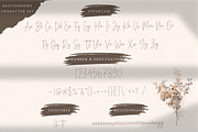 Baster Monky - Monoline Script Font, a Script Font by StringLabs (Thumbnail 12 of 13)