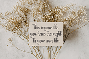 Sometimes | Script Font, a Handwritten Font by Scratchones (Thumbnail 2 of 9)