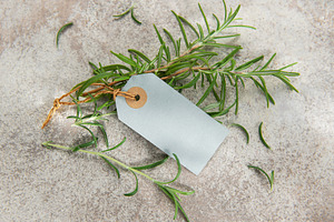 Fresh rosemary sprigs with blank tag on stone background, a Food & Drink Photo by Olena Rudo