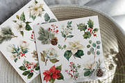 Watercolor Christmas Botanicals, a Decorative Illustration by ThaismotaCreativeCo (Thumbnail 7 of 11)