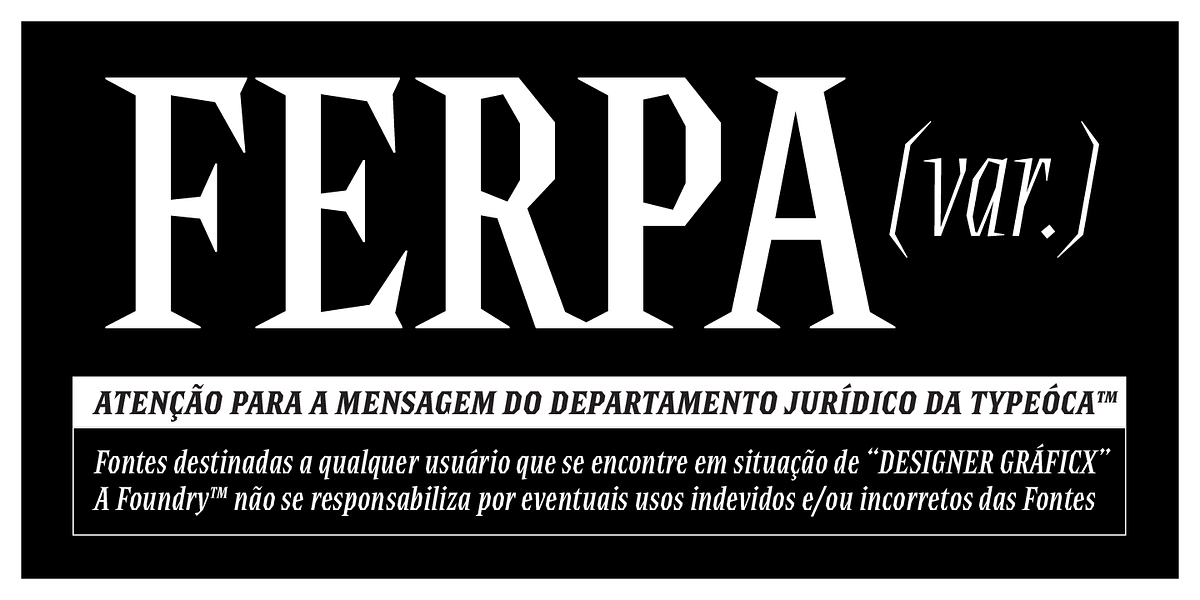 Ferpa, a Serif Font by Typeóca (Photo 7 of 10)