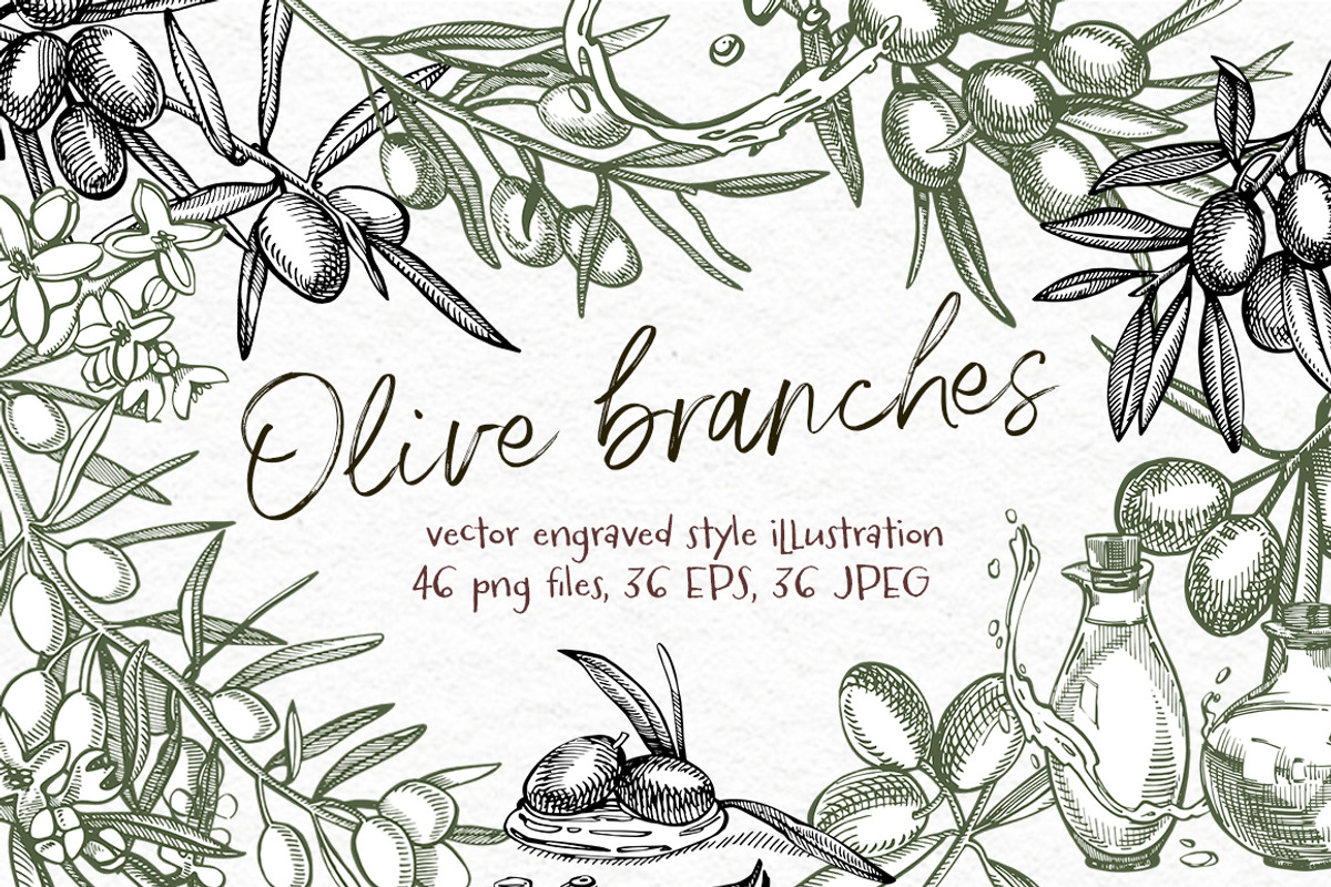 Olive branches vector illustration, a Food Illustration by Ann Astro (Photo 1 of 7)