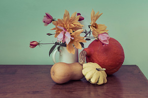Autumn still life stock photo containing flower and flowers