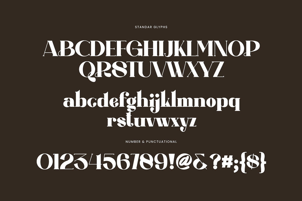 Ragita Elegant Ligature Serif Font, a Serif Font by Perfectype (Photo 7 of 8)