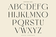 Peachy - Ligature Modern Serif, a Serif Font by Luna Shop (Thumbnail 7 of 11)