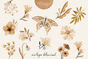 Watercolor Vintage Botanical Clipart, an Illustration by beatriceviyiwi (Thumbnail 4 of 6)