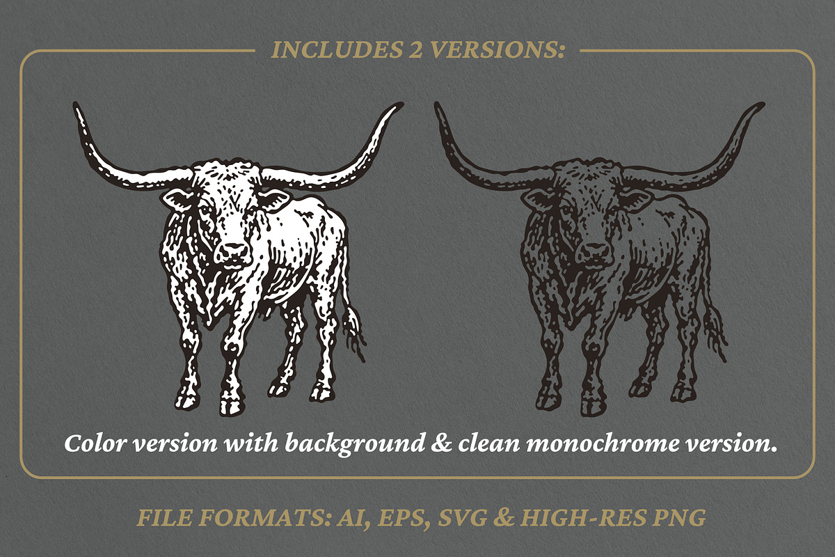 Vintage Longhorn Bull Illustration, an Animal Illustration by lettett (Photo 2 of 3)