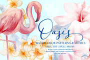 Oasis | Watercolor Flamingo patterns, a Pattern Graphic by Tanya Vollar (Thumbnail 1 of 10)