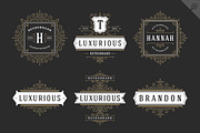 250 ornaments logos & monograms, a Branding & Logo Template by Vasya Kobelev (Thumbnail 5 of 23)