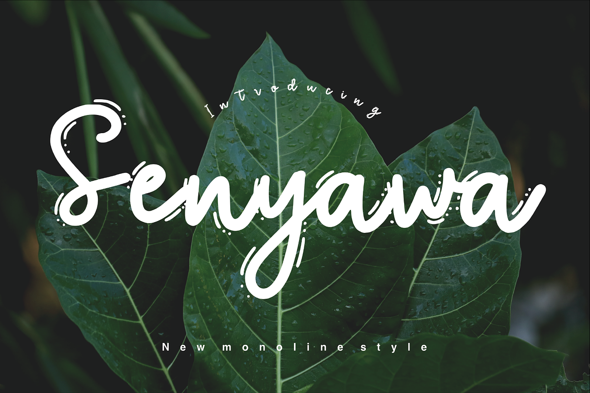 Senyawa, a Script Font by cocodesign (Photo 5 of 6)
