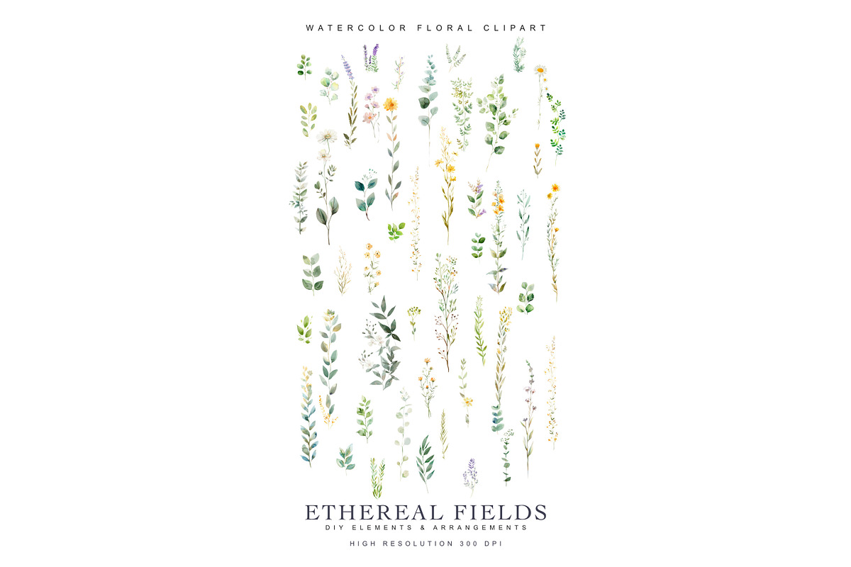 Watercolor Delicate Wildflowers, a Decorative Illustration by Patishop Art (Photo 6 of 7)