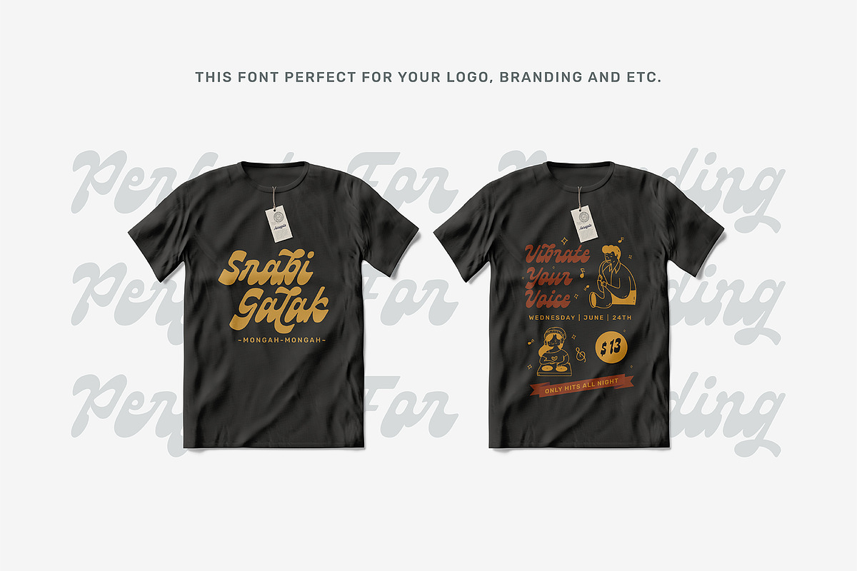 Aerogate Script, a Script Font by Wacaksara Co. (Photo 12 of 13)