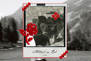Stitched in Red Elements, an Object Graphic by Purple (Thumbnail 16 of 17)