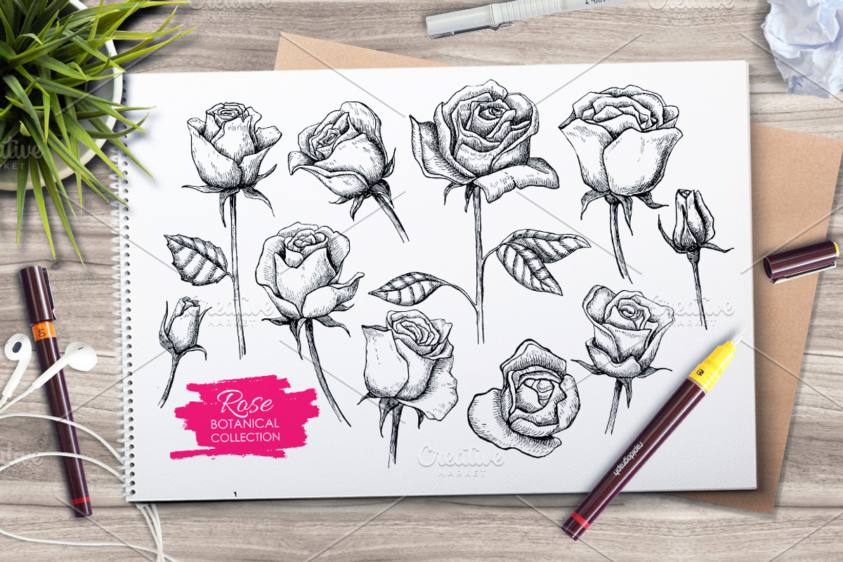 Hand Drawn Roses. Vintage set., a Graphic by Epine (Photo 1 of 3)