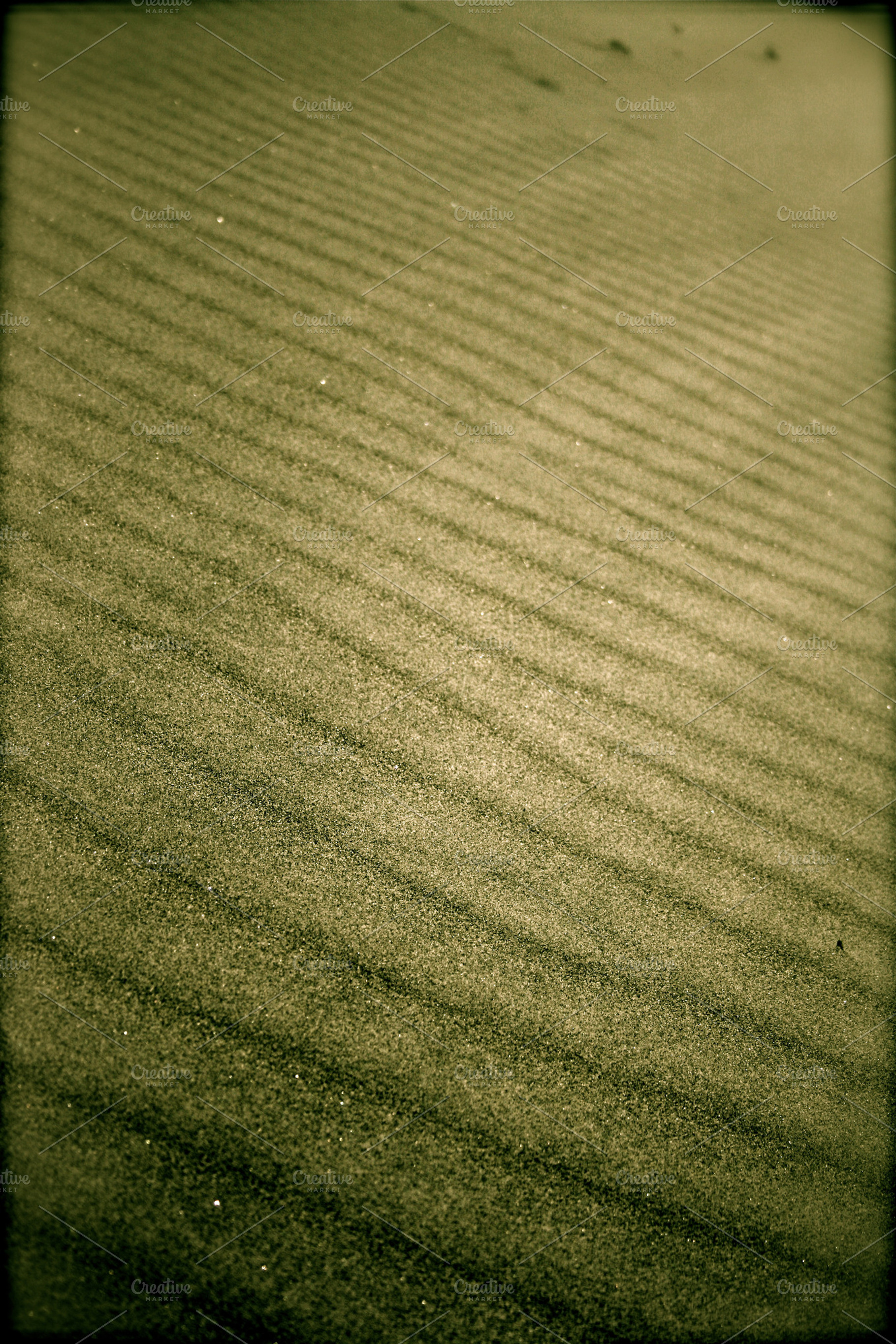 Sandy Containing Sand Beach And Abstract