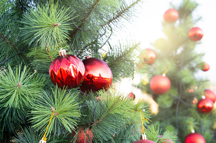 Beautiful Decorated Christmas Tree., an Arts & Entertainment Photo by rakoptonLPN