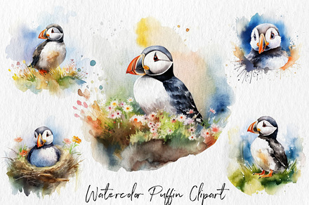 Watercolor puffin bird clipart, a Graphic by Norse Studio