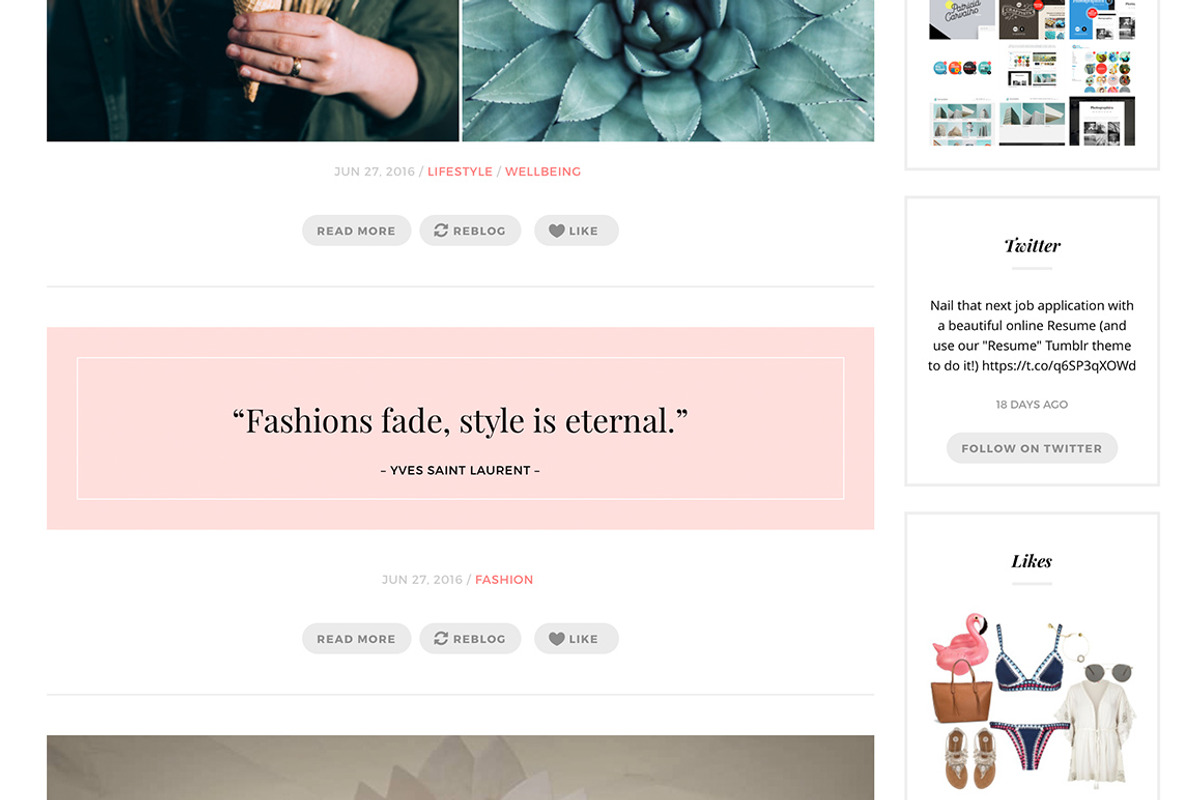 Fashion Chic Tumblr Theme, a Websites & App Template by Themelantic (Photo 3 of 5)