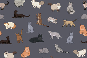 Breeds Of Cats