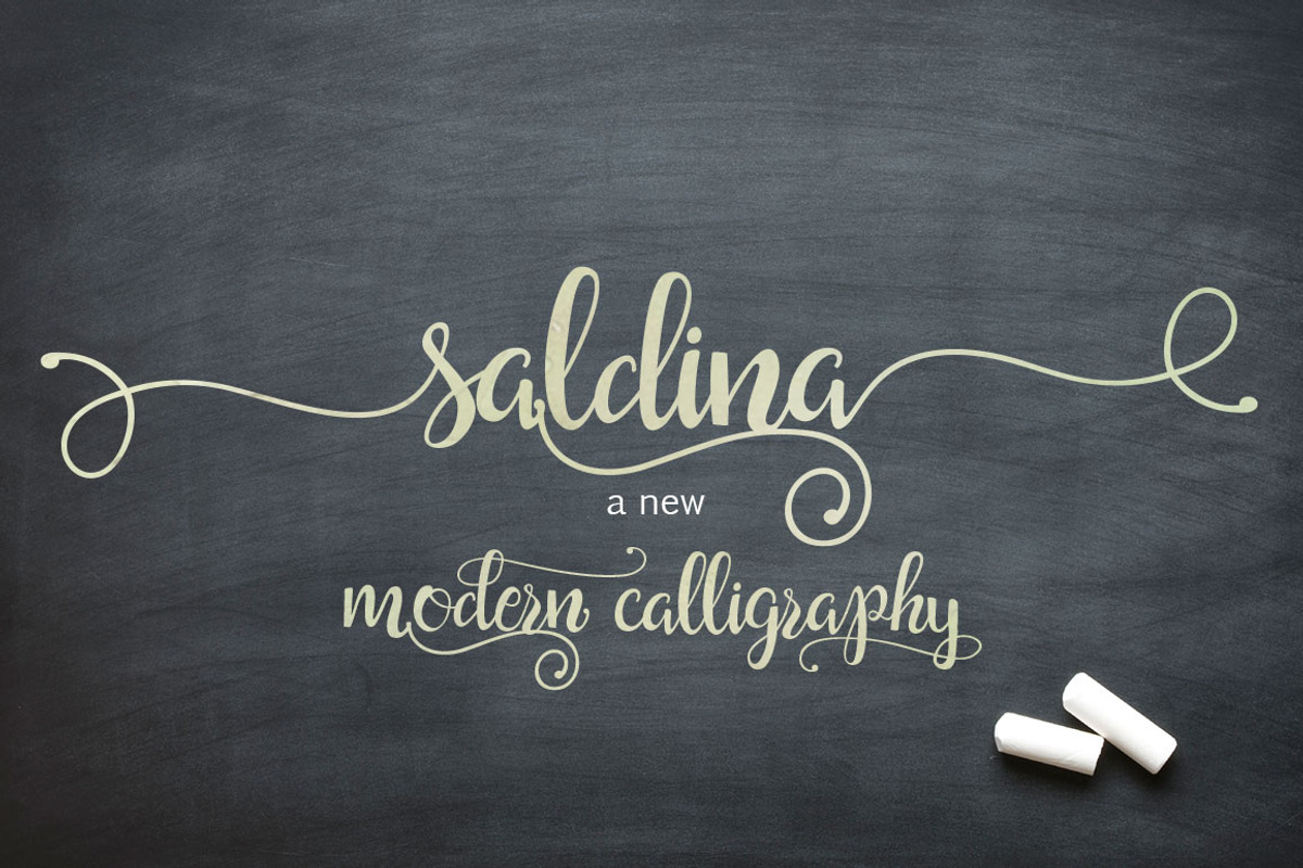 Saldina Script, a Script Font by vanroem (Photo 12 of 13)