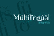 Novelia Pro, a Serif Font by joelmaker (Thumbnail 4 of 21)