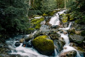 Waterfall in the Pacific Northwest