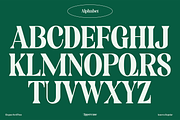 Amerta Elegant Serif Font, a Serif Font by GRVS Studio (Thumbnail 2 of 7)