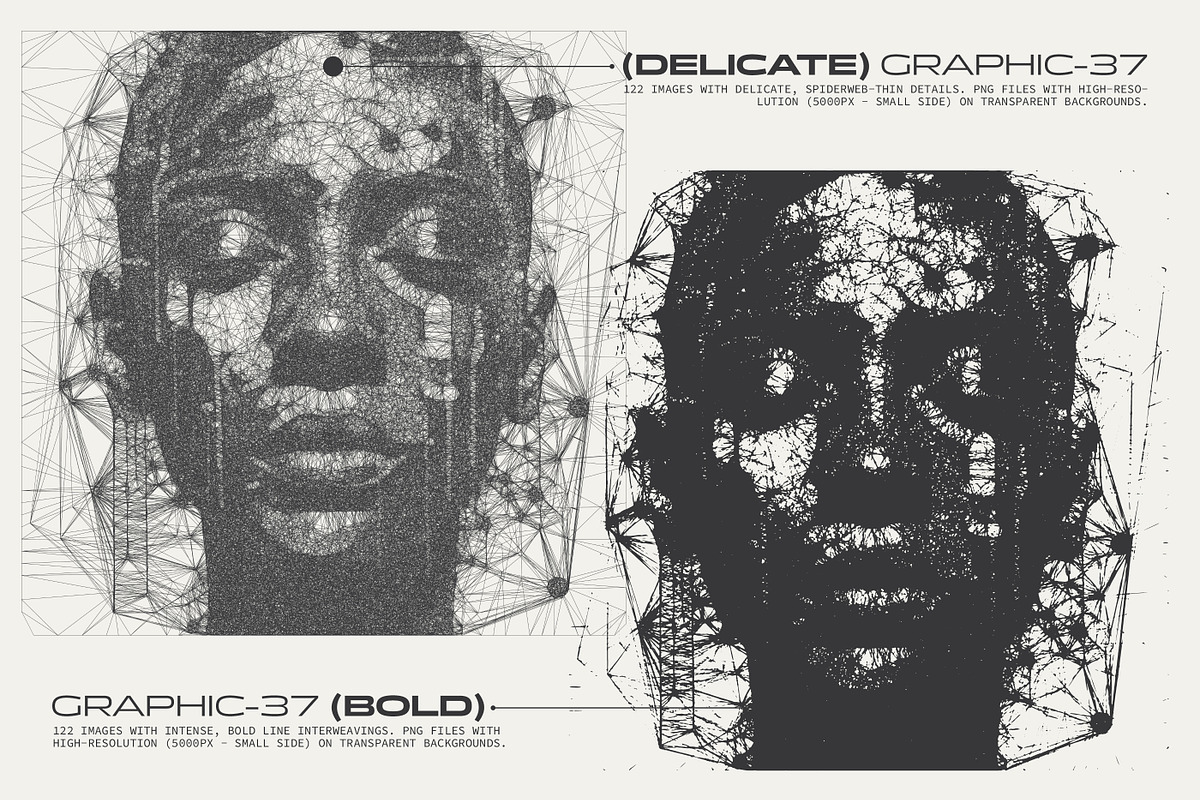 Interlace. 244 Spiderweb Graphics, a Graphic by softulka (Photo 2 of 6)
