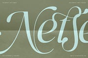 Netsera Calligraphic Serif Typeface, a Serif Font by SilverStag Type Foundry (Thumbnail 6 of 30)