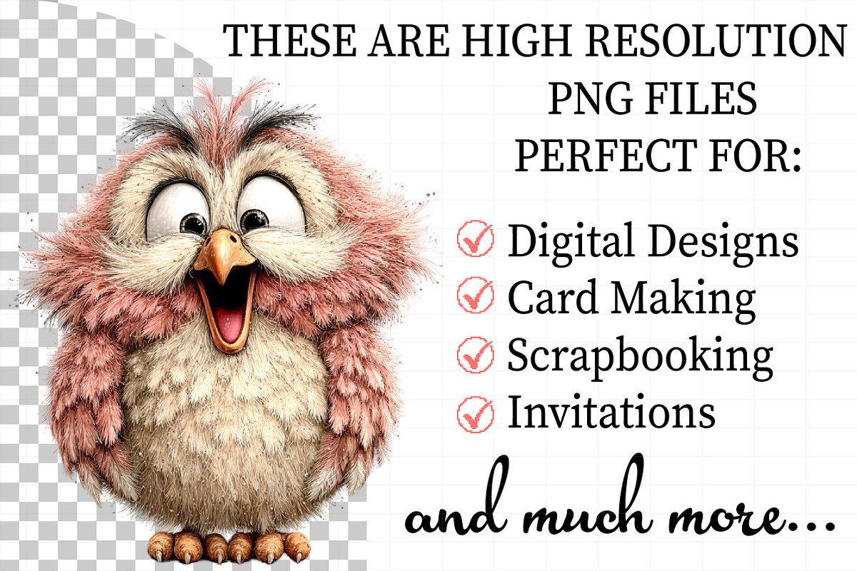 Funny Spring Owl Clipart, an Illustration by Daily.Designs (Photo 2 of 8)
