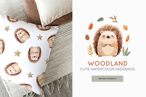 Woodland. Cute Watercolor Hedgehog