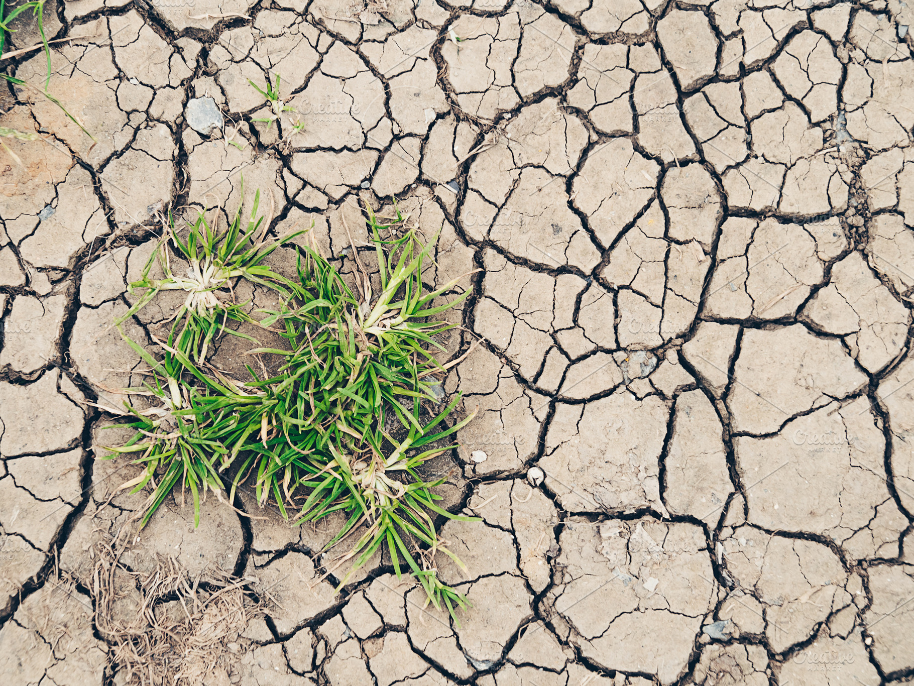 Background stock photo containing ground and dry, an Abstract Photo by Pabkov