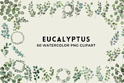 60 Watercolor Eucalyptus PNG Clipart, a Graphic by Graphicspixel (Thumbnail 1 of 10)