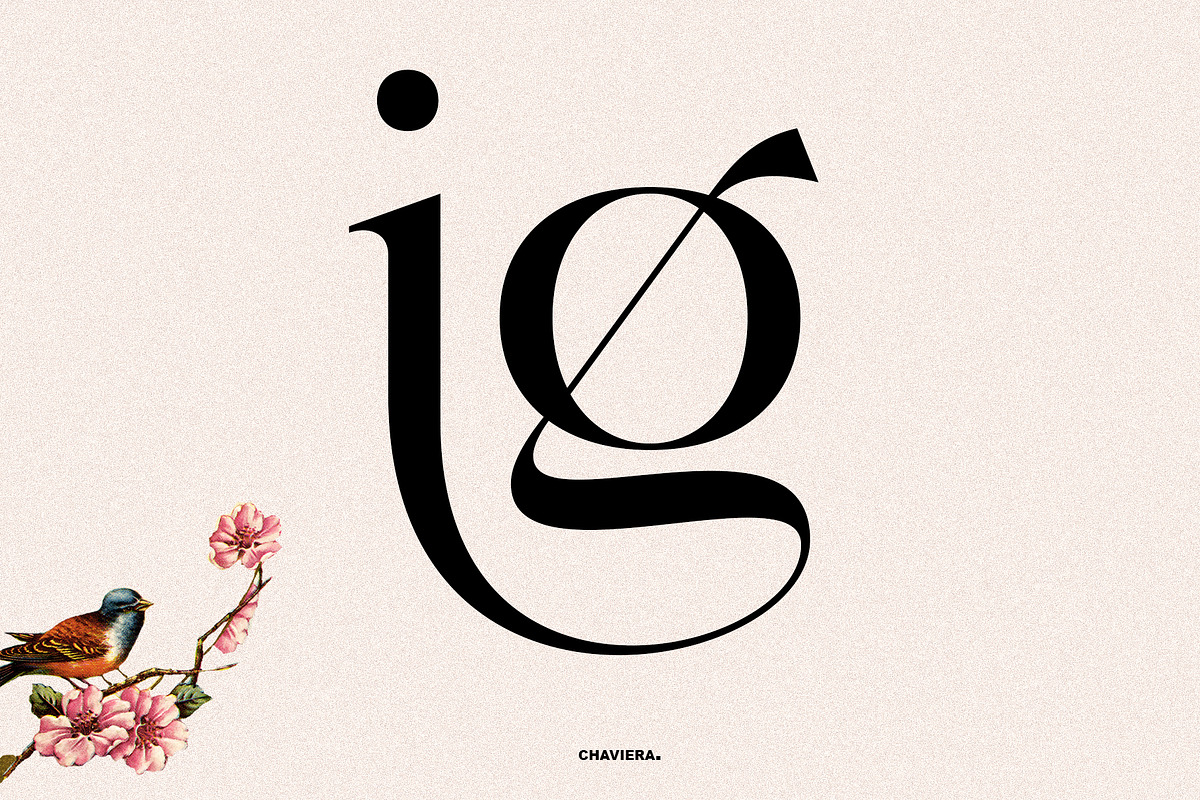 Chaviera, a Serif Font by INKSUN™ (Photo 5 of 13)