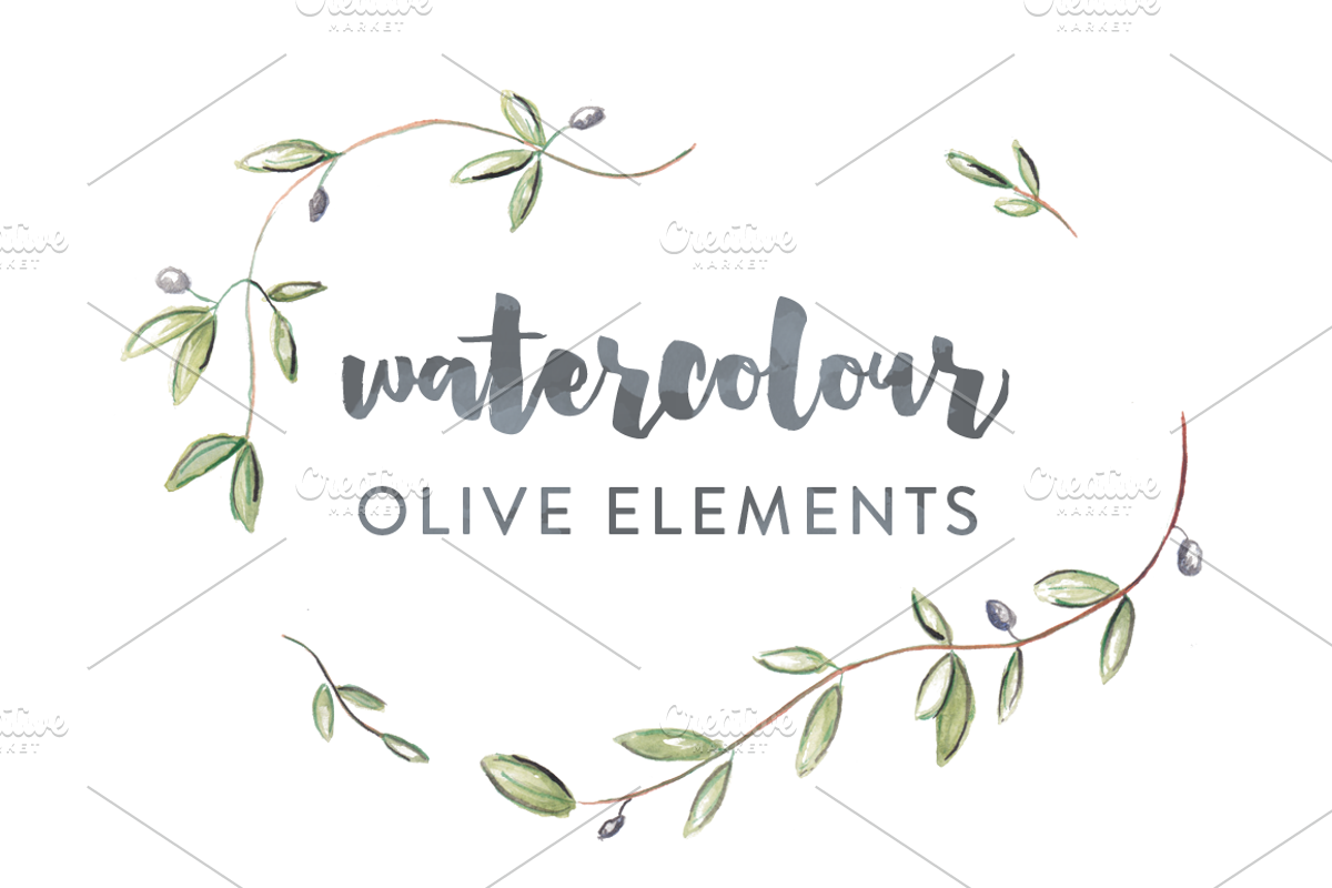 Olive Watercolor Elements, an Illustration by Susan Brand Design (Photo 3 of 4)