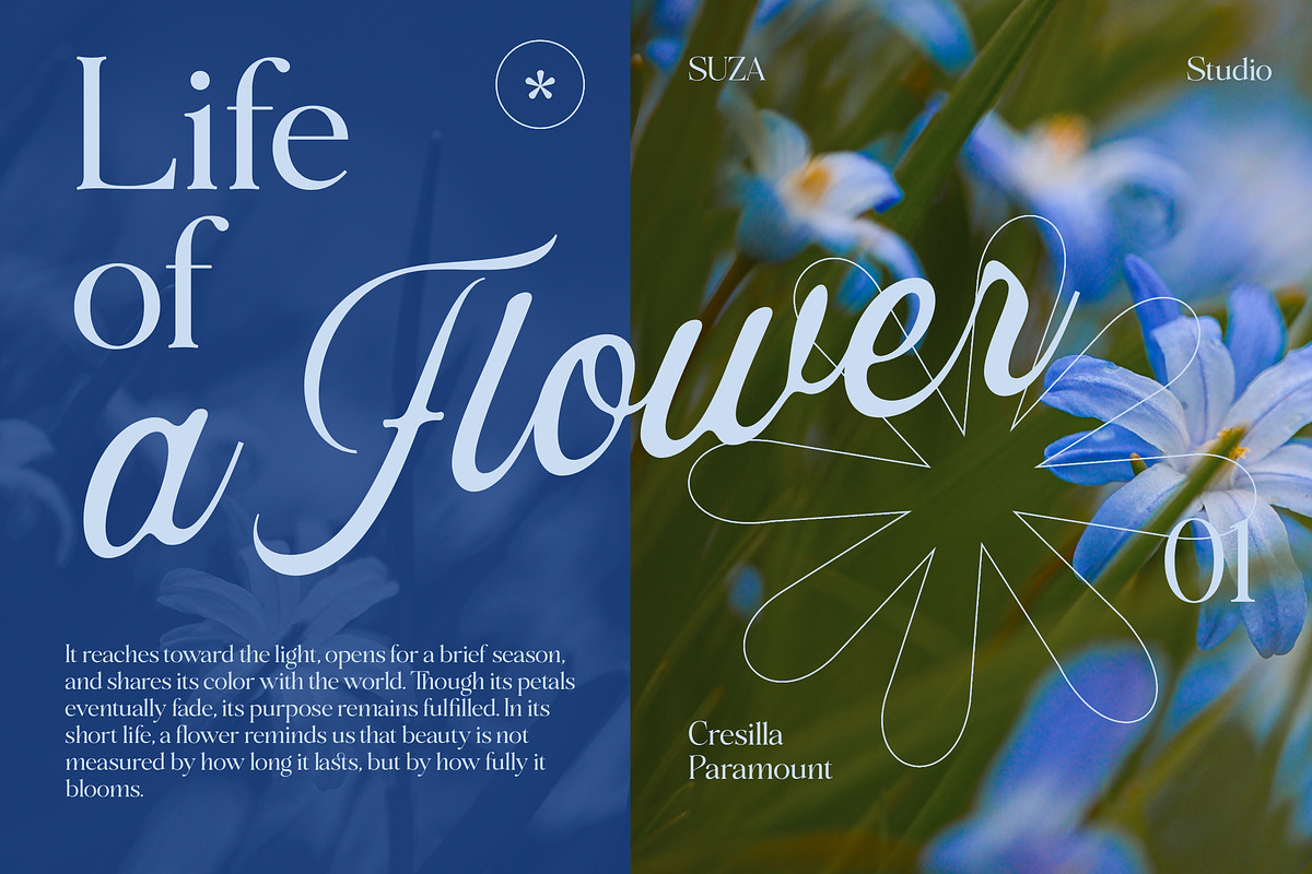 Cresilla Paramount - Font Trio, a Serif Font by Suza Studio (Photo 5 of 13)