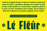 CS Blame – Bold Font, a Sans Serif Font by Craft Supply Co. (Thumbnail 5 of 8)