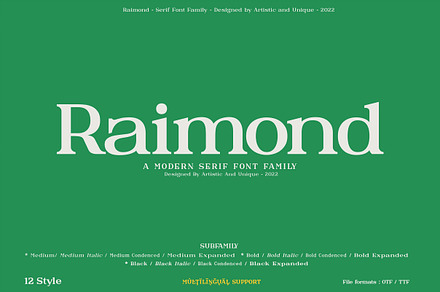 Raimond - Serif font family, a Serif Font by Artistic & Unique