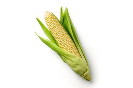 Fresh juicy yellow corn on a white, a Food & Drink Photo by ZinetroN