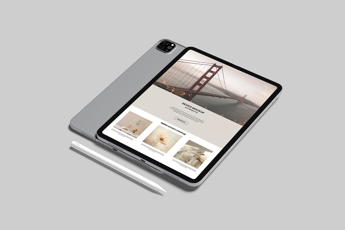 iPad Pro Mockup, an iPad Mockup by Graphiculon (Photo 11 of 11)