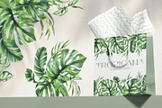 Tropical Leaves Watercolor Set, a Seasonal Illustration by NATASHA CHU (Thumbnail 5 of 13)