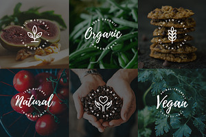 Eco-Friendly Logo & Icon Bundle